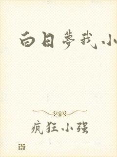 白日梦我小说