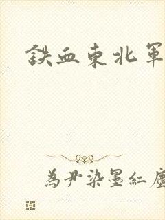 铁血东北军