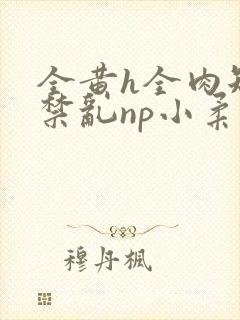 全黄h全肉短篇禁乱np小柔