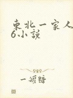 东北一家人1一6小说