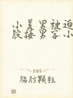 小美男被迫卖屁股接男客小说