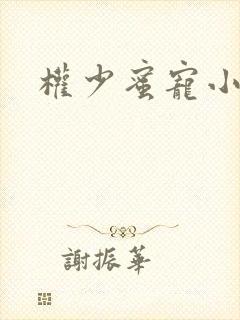 权少蜜宠小娇妻