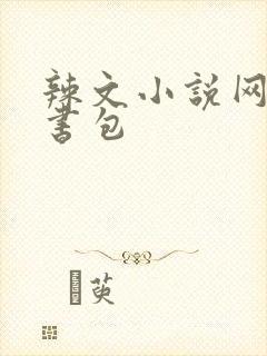 辣文小说网第二书包
