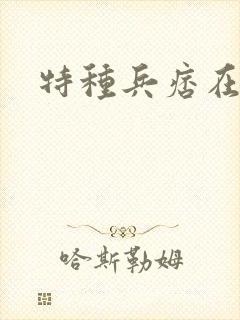 特种兵痞在都市