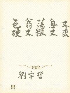 色翁荡息又大又硬又粗又爽小莹