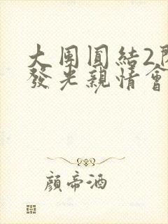 大团圆结2闪闪发光亲情会