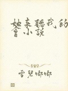 她来听我的演唱会小说