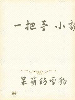 一把手 小说