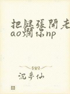 把腿张开老子cao烂你np