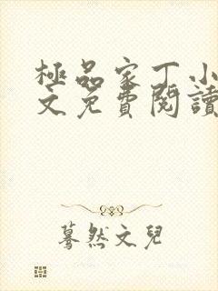 极品家丁小说全文免费阅读