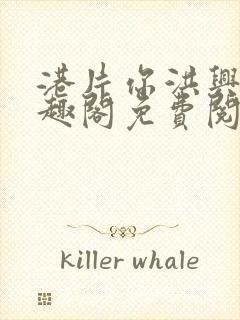 港片你洪兴仔笔趣阁免费阅读全文