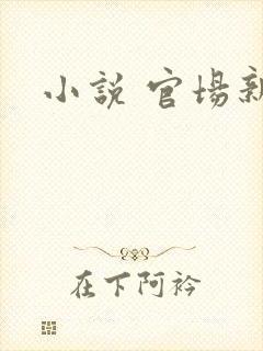 小说 官场新贵