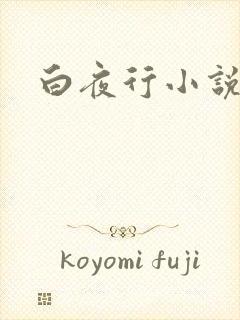 白夜行小说下载