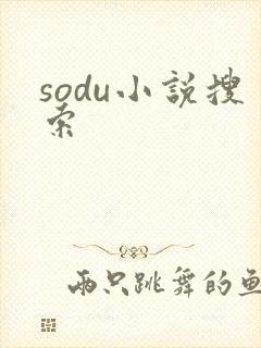 sodu小说搜索