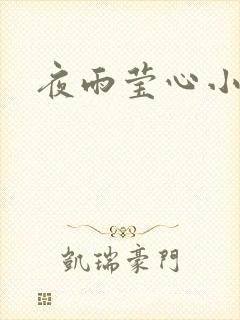 夜雨莹心小说
