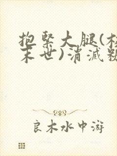 抱紧大腿(校园末世)消灭糖果小说