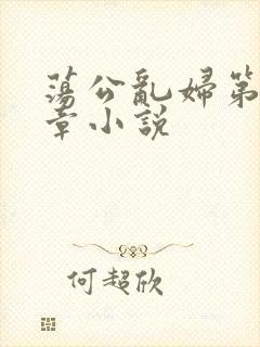 荡公乱妇第51章小说