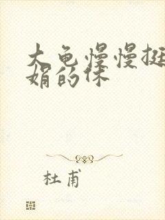 大龟慢慢挺进张娟的休