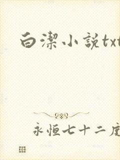 白洁小说txt