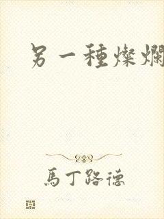 另一种灿烂生活