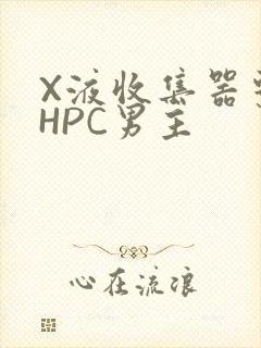 X液收集器系统HPC男主