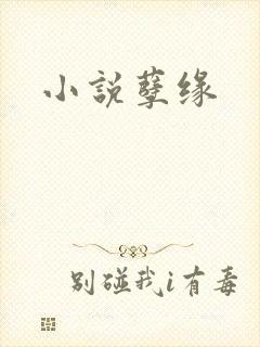 小说孽缘