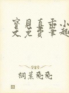 宝贝真乖小说全文免费笔趣阁