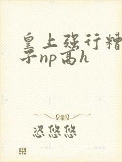 皇上强行糟蹋太子np高h