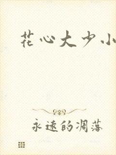 花心大少小说
