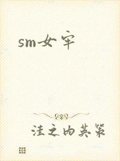 sm女牢