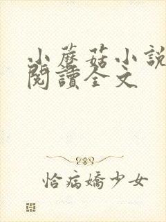 小蘑菇小说免费阅读全文