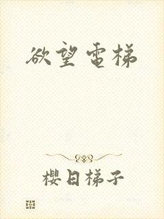 欲望电梯