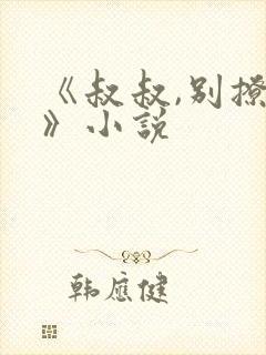 《叔叔,别撩我》小说