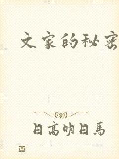 文家的秘密