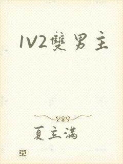 1V2双男主