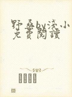 野桑by浅小说免费阅读