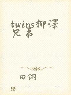 twins柳泽兄弟