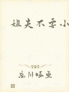 姐夫不要小说