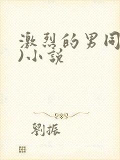 激烈的男同(h)小说