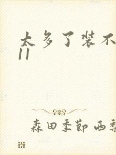 太多了装不下H11