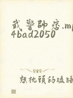 武警帅痞.mp4bad2050