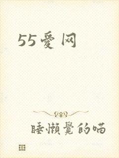 55爱网