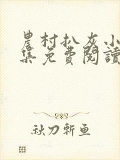 农村扒灰小说全集免费阅读