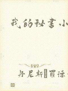 我的秘书小姐