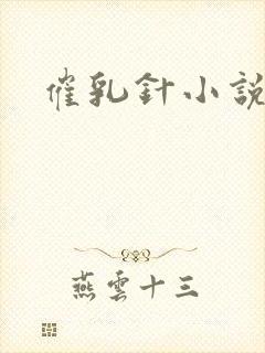 催乳针小说