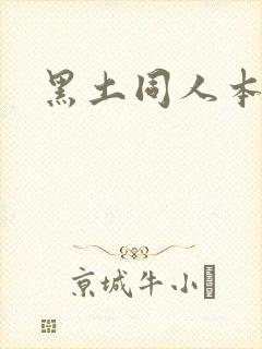 黑土同人本子