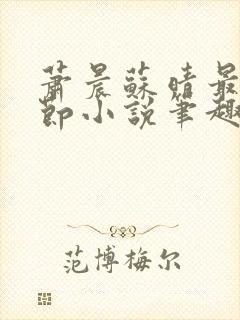 萧晨苏晴最新章节小说笔趣阁