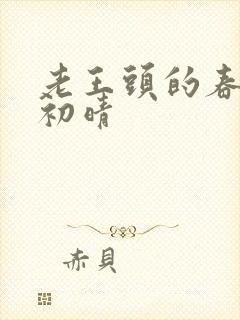 老王头的春天林初晴