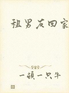 租男友回家过年