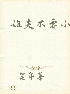 姐夫不要小说